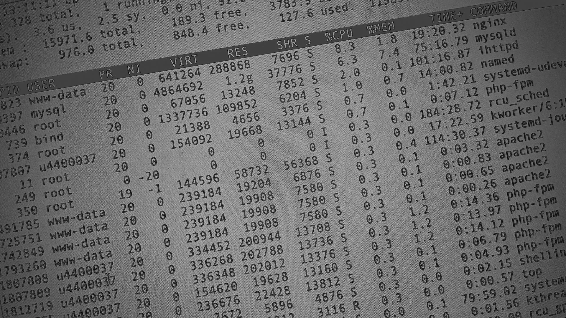 Настройка сервера в Смоленске